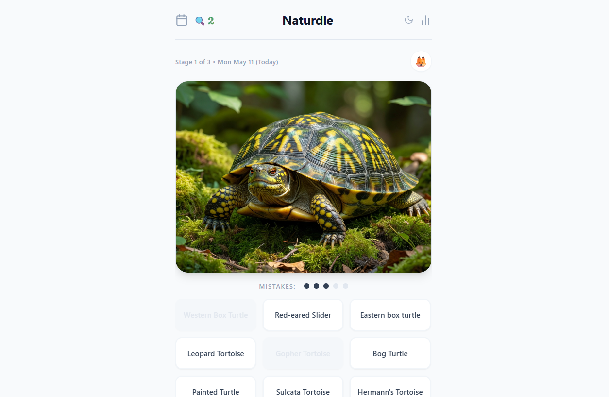 Naturdle gameplay screenshot